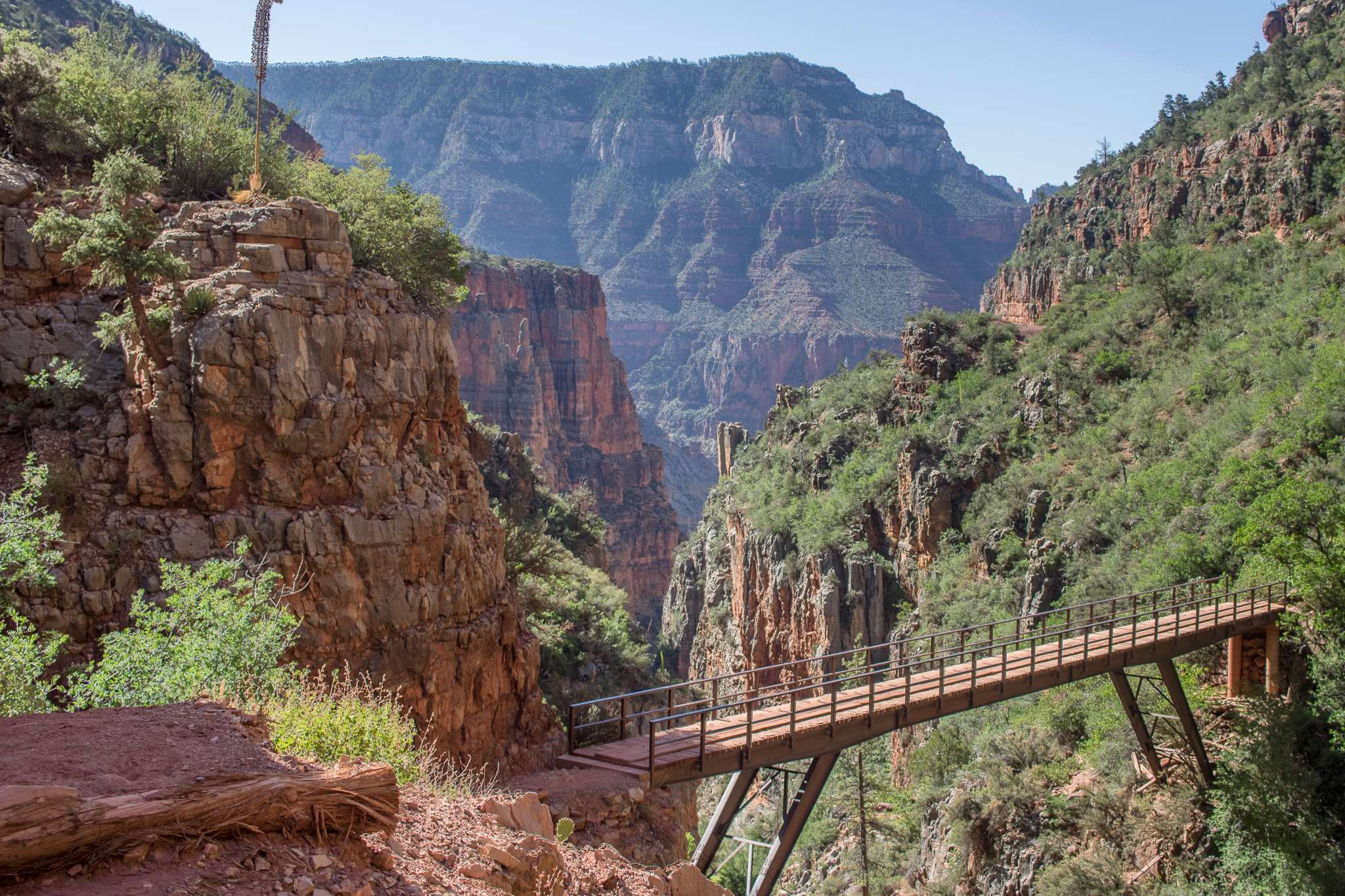 Grand Canyon