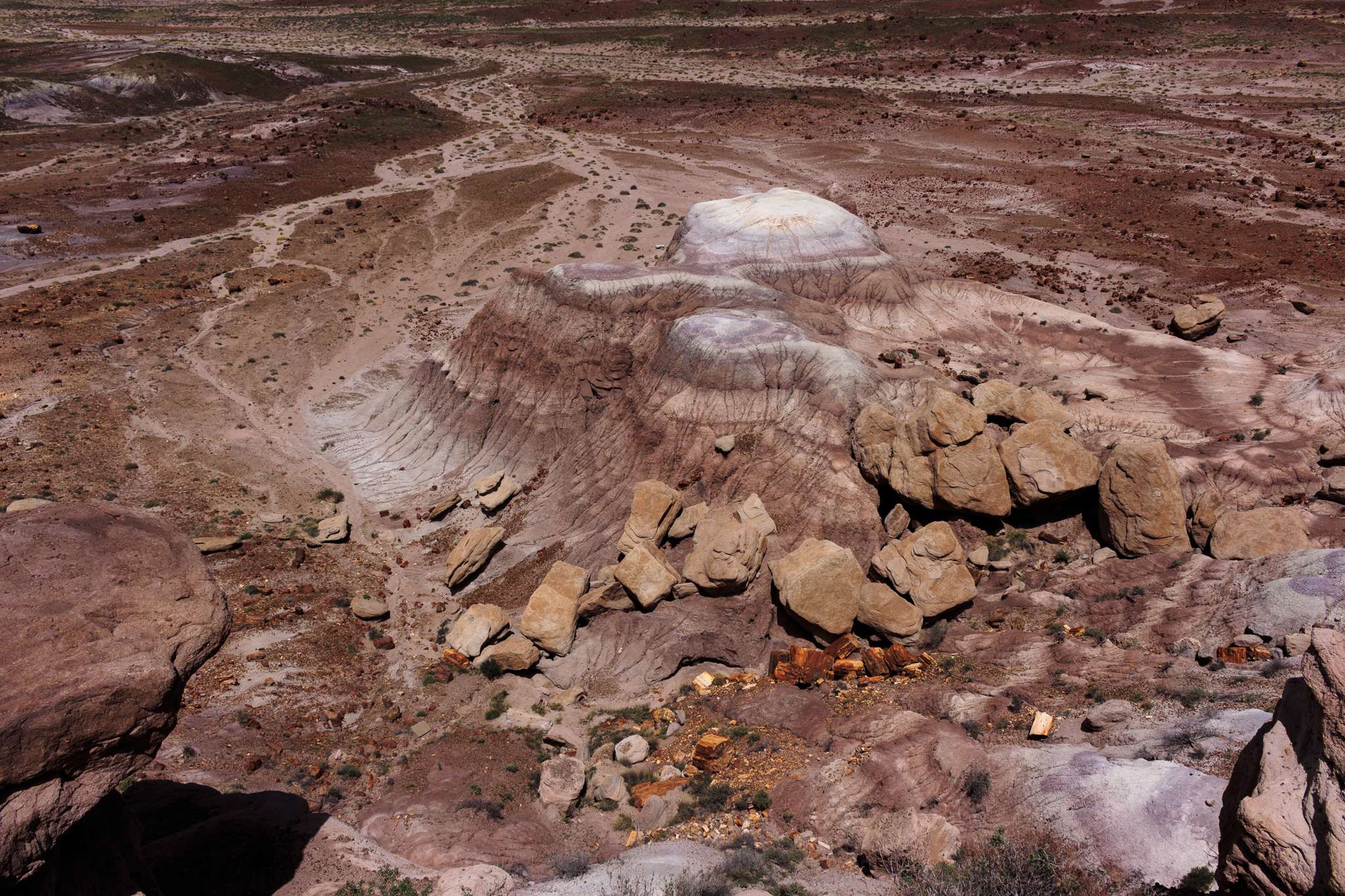 Petrified Forest