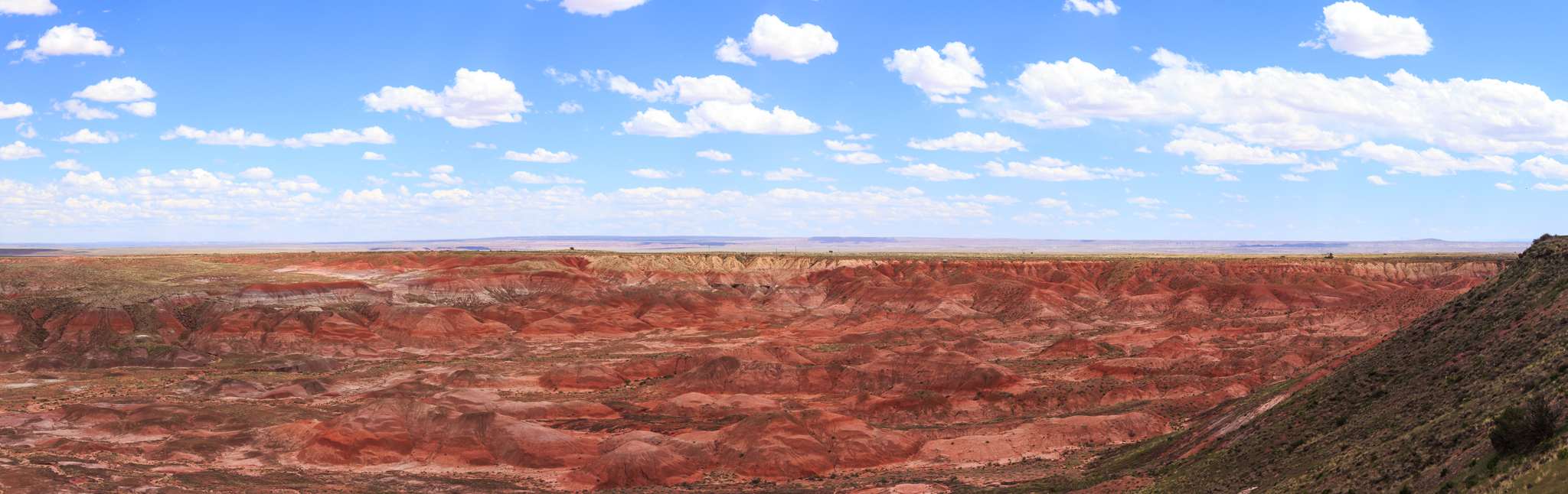 Petrified Forest