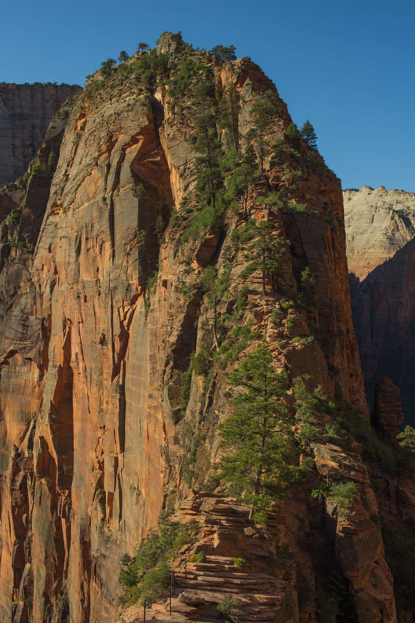 Zion