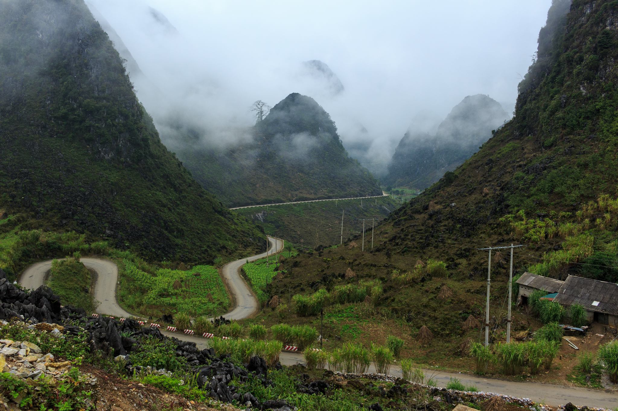Ha Giang