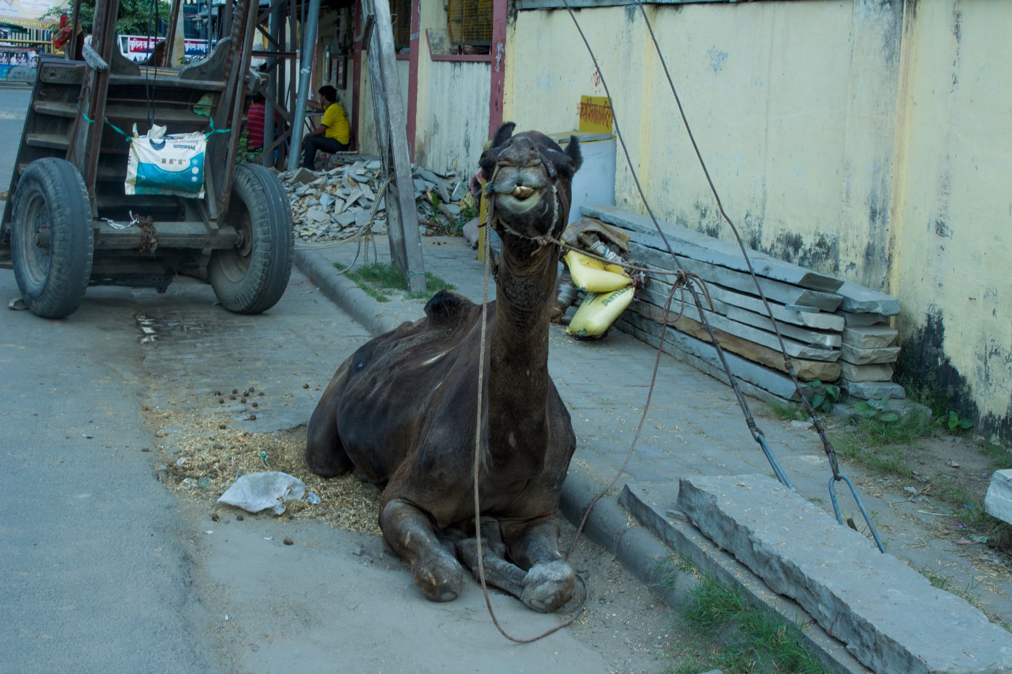 Jaipur - India