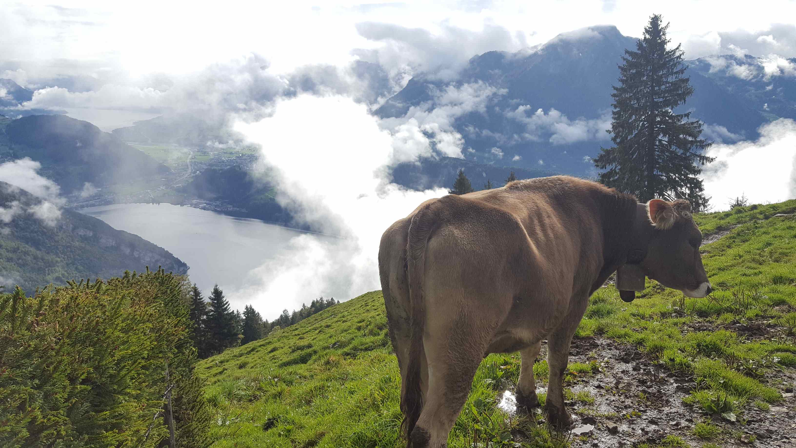 Lucerne - Switzerland