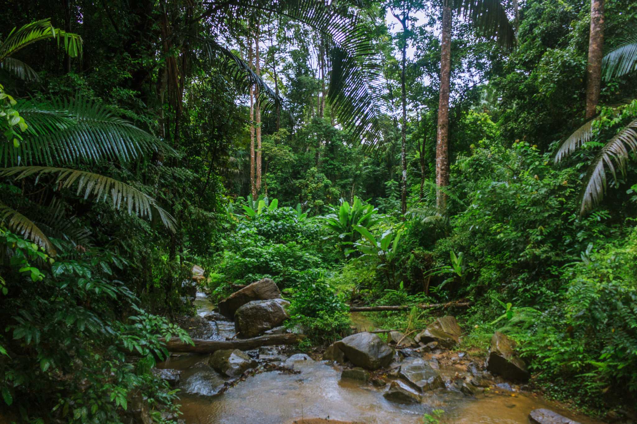 Krabi - Thailand