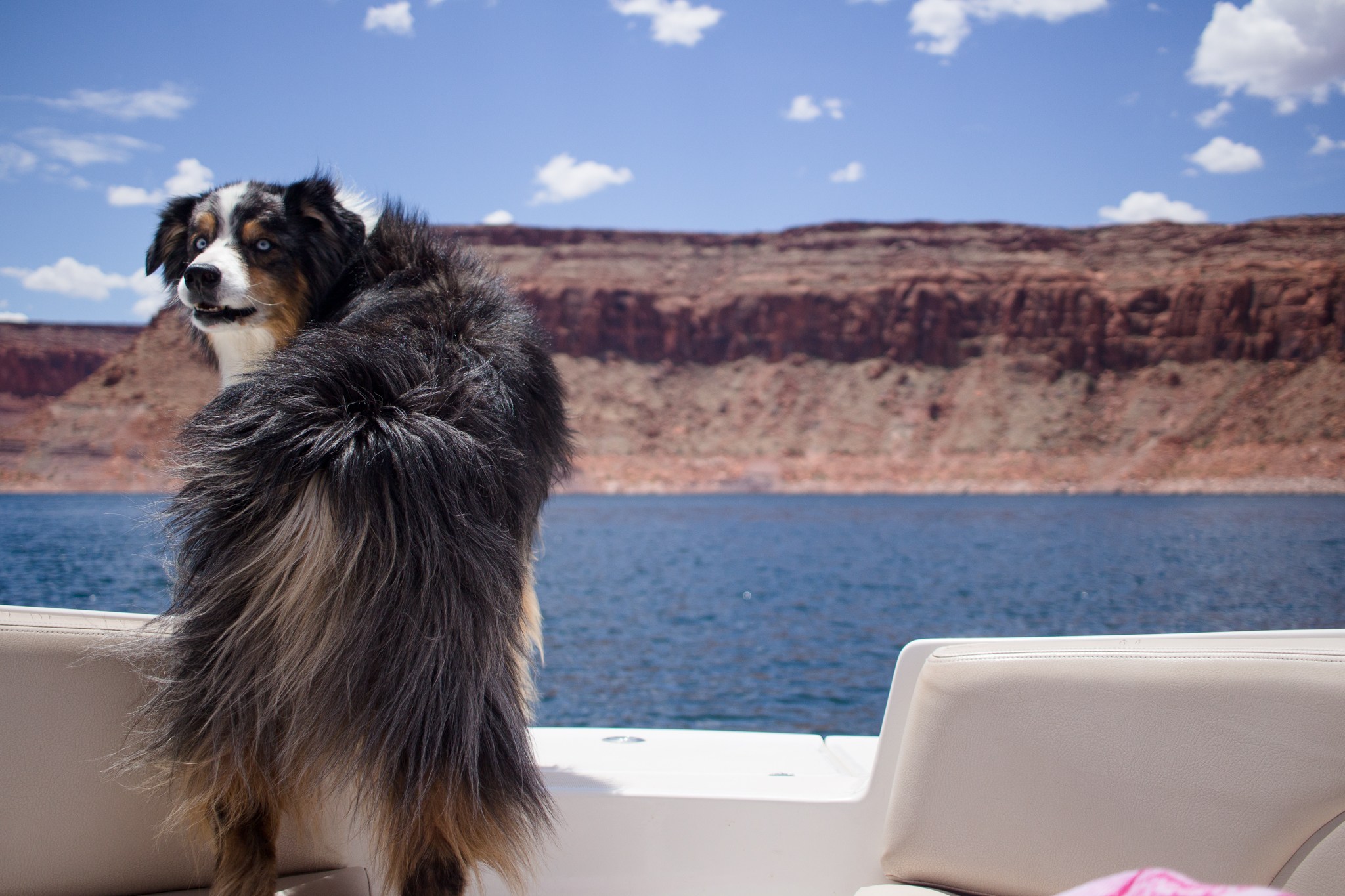 Lake Powell - Utah