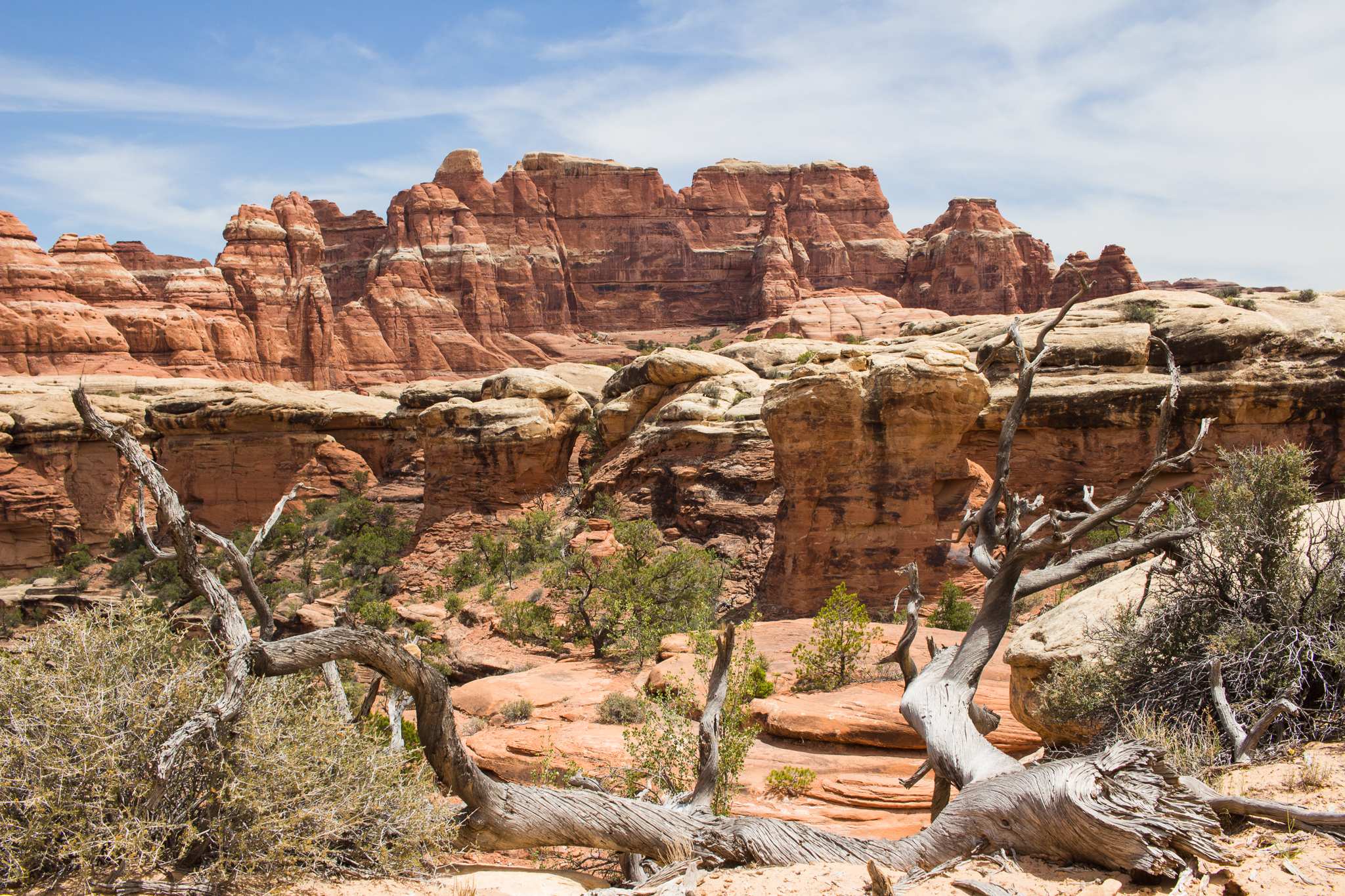 Needles - Utah